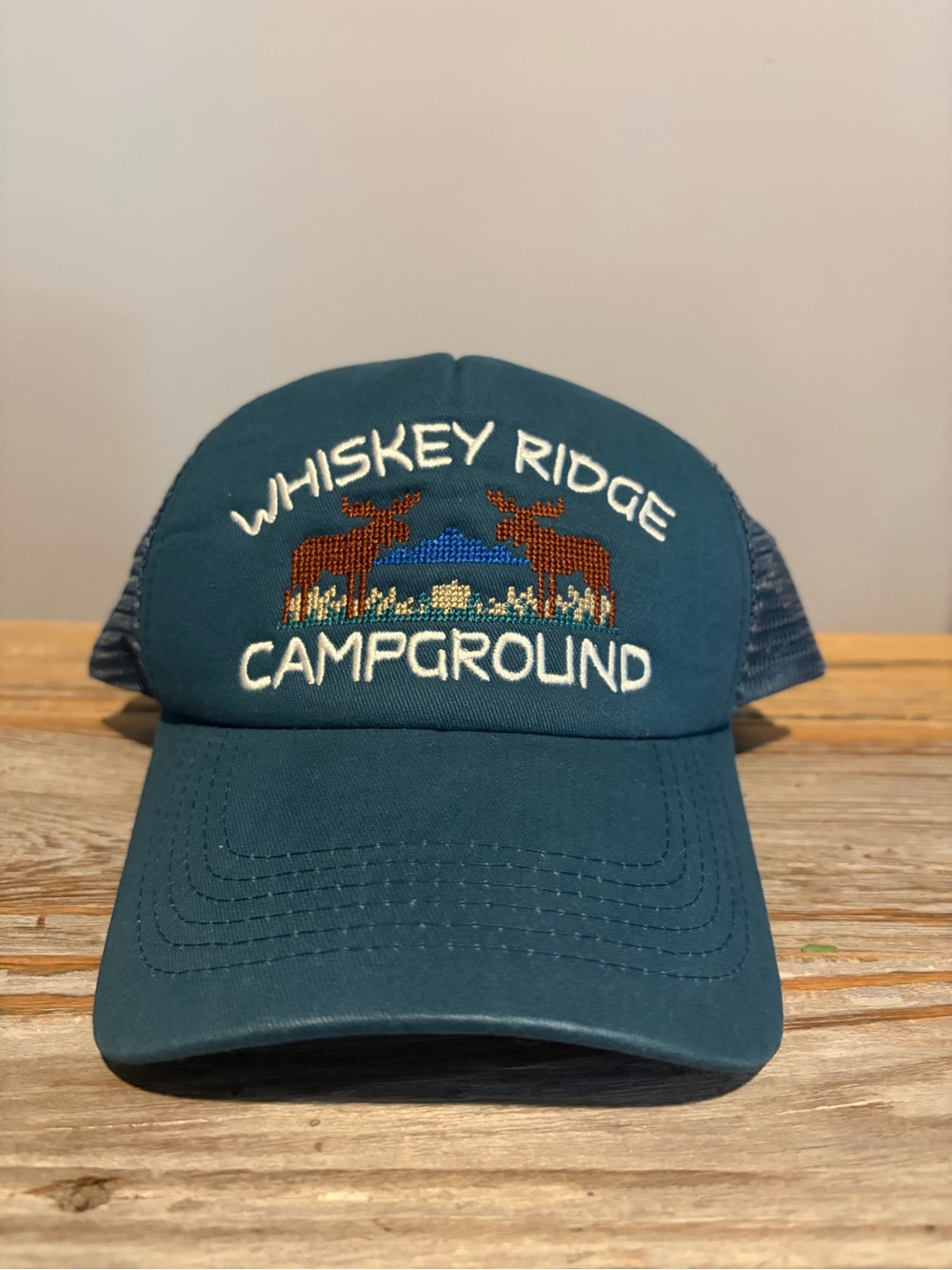 Anthropologie Teal Whiskey Ridge Campground Trucker Hat NWT